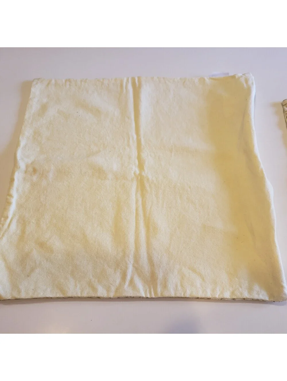 Calvin Klein Throw Pillow Covers QTY 2 Pale Yellow Gold Metallic Thread Flowers